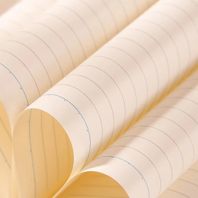 Gambar Deli Notebook Eva Cover Butterbear V1 Random