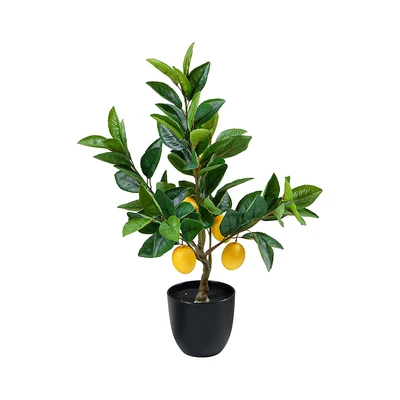 Gambar Informa Tanaman Artifisial Lemon Tree Dengan Pot 32x3250 cm - Hijau/Kuning
