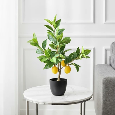 Gambar Informa Tanaman Artifisial Lemon Tree Dengan Pot 32x3250 cm - Hijau/Kuning