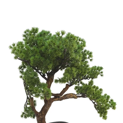 Gambar Informa Tanaman Artifisial Pine Tree Bonsai Dengan Pot 60x35x49 cm - Hijau