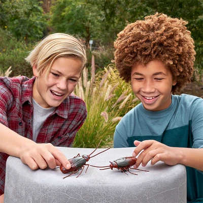 Gambar Zuru Robo Alive Crawling Cockroach - Cokelat