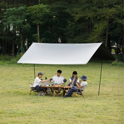 Gambar Montec Tenda Kanopi Vinyl 1.95x4 Meter - Silver