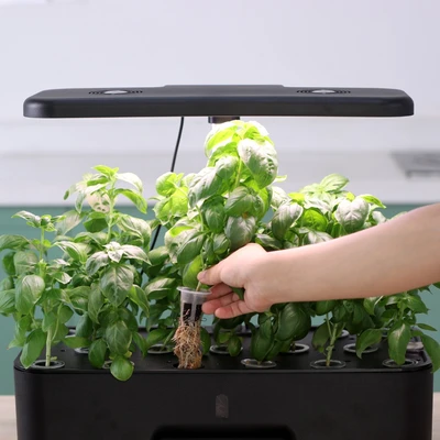 Gambar Soleil Pot Indoor Hydroponic Planter Dengan Display - Hitam