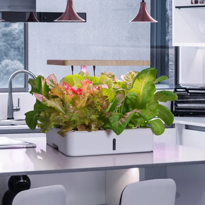 Gambar Soleil Pot Indoor Hydroponic Planter - Putih
