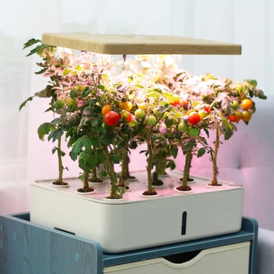 Gambar Soleil Pot Indoor Hydroponic Planter - Putih