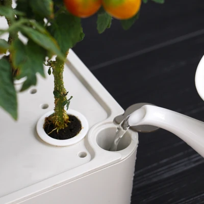 Gambar Soleil Pot Indoor Hydroponic Planter - Putih