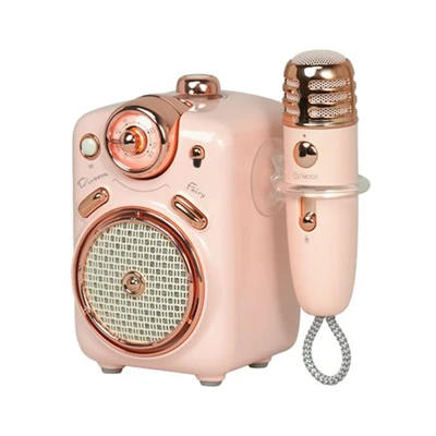 Gambar Divoom Fairy-2 Speaker Karaoke Bluetooth Dengan Microphone - Pink
