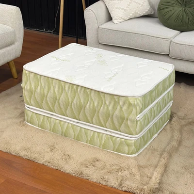 Gambar Informa Sleep Trivera 90x190x12 cm Kasur Foam Mini Springbed Lipat In Box - Hijau