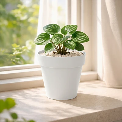 Gambar Soleil Nara Pot Tanaman Plastik Basic 15.5x15.5x14.5 cm - Putih