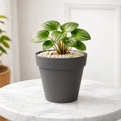 Gambar Soleil Nara Pot Tanaman Plastik Basic 18x18x17 cm - Abu-Abu