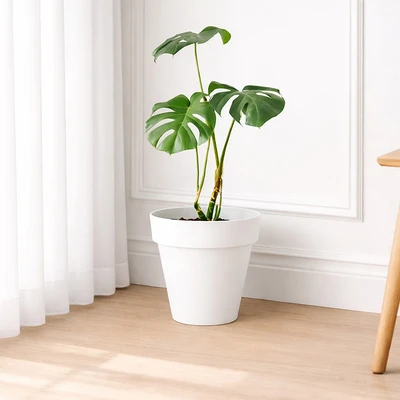 Gambar Soleil Nara Pot Tanaman Plastik Basic 28x28x25 cm - Putih