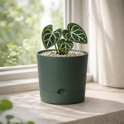 Gambar Soleil Nordic Pot Tanaman Self Watering Plastik 16.5x16.5x16 cm - Hijau