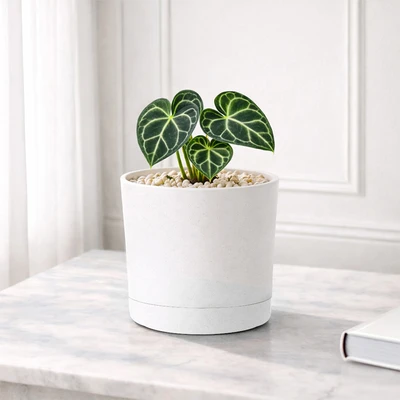 Gambar Soleil Nordic Pot Tanaman Self Watering Plastik 19.5x19.5x18.5 cm - Putih