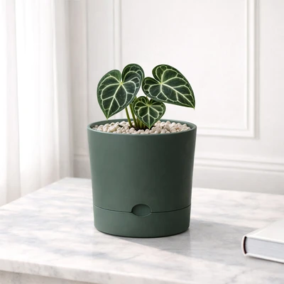 Gambar Soleil Nordic Pot Tanaman Self Watering Plastik 19.5x19.5x18.5 cm - Hijau