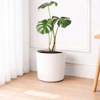 Gambar Soleil Nordic Pot Tanaman Self Watering Plastik 25x25x24 cm - Putih