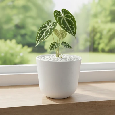 Gambar Soleil Lunea Pot Tanaman Plastik 16x16x14 cm - Putih