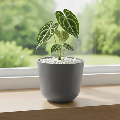 Gambar Soleil Lunea Pot Tanaman Plastik 16x16x14 cm - Abu-Abu