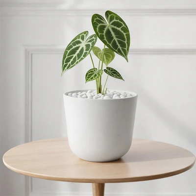 Gambar Soleil Lunea Pot Tanaman Plastik 19x19x16.5 cm - Putih