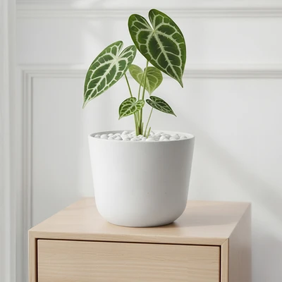 Gambar Soleil Lunea Pot Tanaman Plastik 25x25x22 cm - Putih
