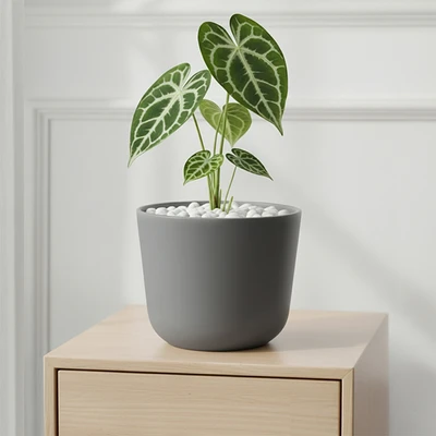 Gambar Soleil Lunea Pot Tanaman Plastik 25x25x22 cm - Abu-Abu
