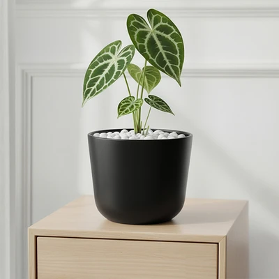 Gambar Soleil Lunea Pot Tanaman Plastik 25x25x22 cm - Hitam