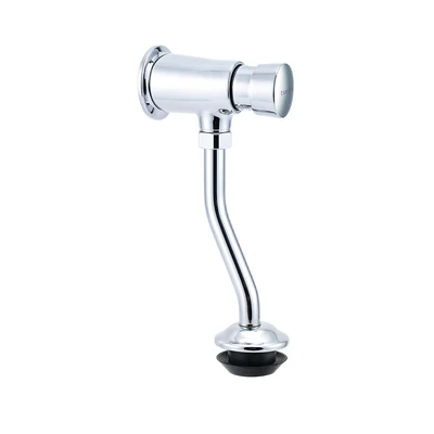 Gambar Acroz Urinal Flush Valve V1 - Silver Chrome