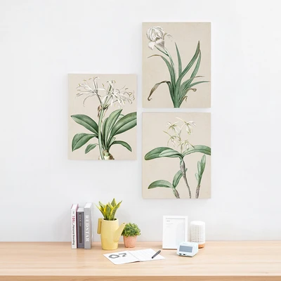 Gambar Informa Hiasan Dinding Kanvas Print Plants 40x50 cm Set 3 pcs - Mix