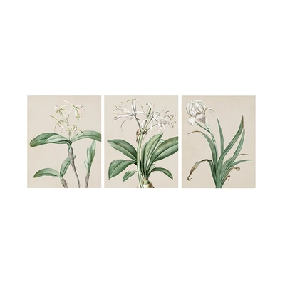 Gambar Informa Hiasan Dinding Kanvas Print Plants 40x50 cm Set 3 pcs - Mix