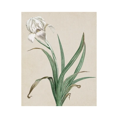 Gambar Informa Hiasan Dinding Kanvas Print Plants 40x50 cm Set 3 pcs - Mix