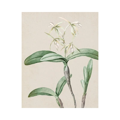 Gambar Informa Hiasan Dinding Kanvas Print Plants 40x50 cm Set 3 pcs - Mix