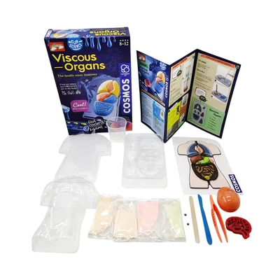 Gambar Kiddy Star Set Fun Science Viscous Organs - Mix