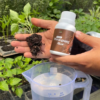 Gambar Infarm Hormon Stimulan Akar Tanaman 125 ml