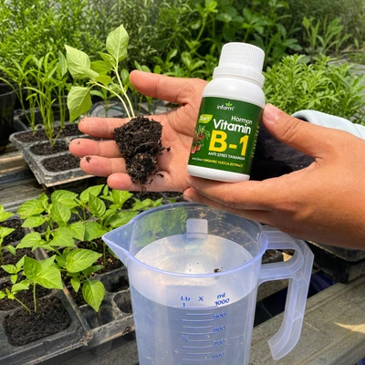 Gambar Infarm Hormon Vitamin B1 Tanaman 100 ml