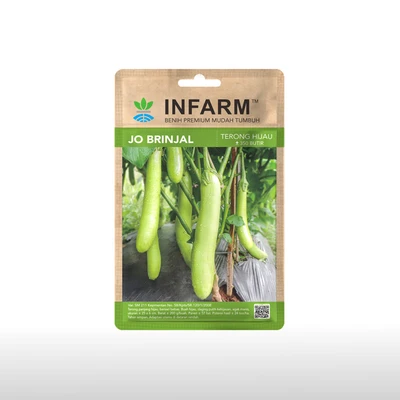 Gambar Infarm Benih Terong Brinjal