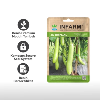 Gambar Infarm Benih Terong Brinjal