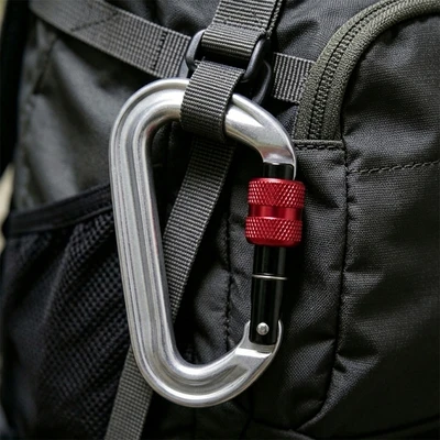 Gambar Montec Karabiner Aluminium Screw Lock 12kN - Silver