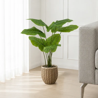 Gambar Forhom Tanaman Artifisial Alocasia Dengan Pot Keranjang 14.5x14.5x70 cm - Hijau