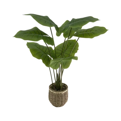 Gambar Forhom Tanaman Artifisial Alocasia Dengan Pot Keranjang 14.5x14.5x70 cm - Hijau
