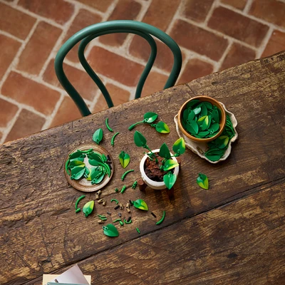 Gambar LEGO Botanicasl Hanging Golden Pothos Set 372 pcs 11512 - Hijau
