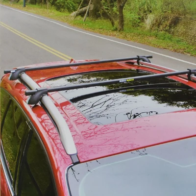 Gambar Buzzrack Rak Bagasi Atap Mobil