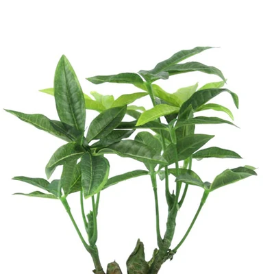 Gambar Tanaman Artifisial Schefflera Dengan Pot 24 Cm