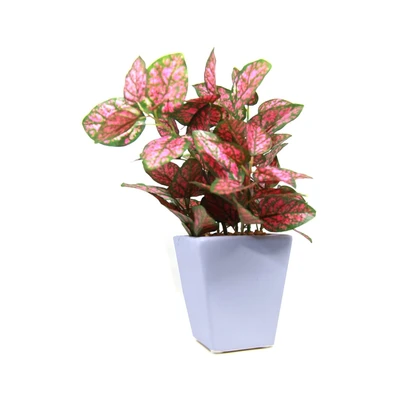 Gambar Arthome Tanaman Artifisial Polkadot Dengan Pot 19 cm - Mix