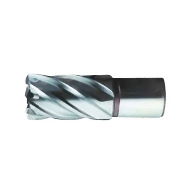 Gambar Krisbow Mata Bor Beton Core 18 mm Iracd18