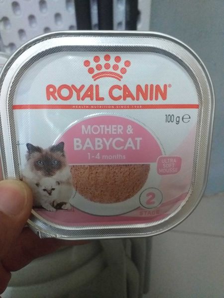 Babycat Ultra Soft Mousse Rc Mother And Baby Cat Jual Royal Canin