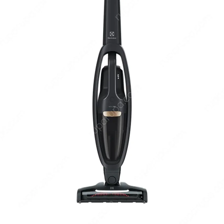 Jual Electrolux Vacuum Cleaner Dry Ergorapido WQ61-1OGG Terbaru