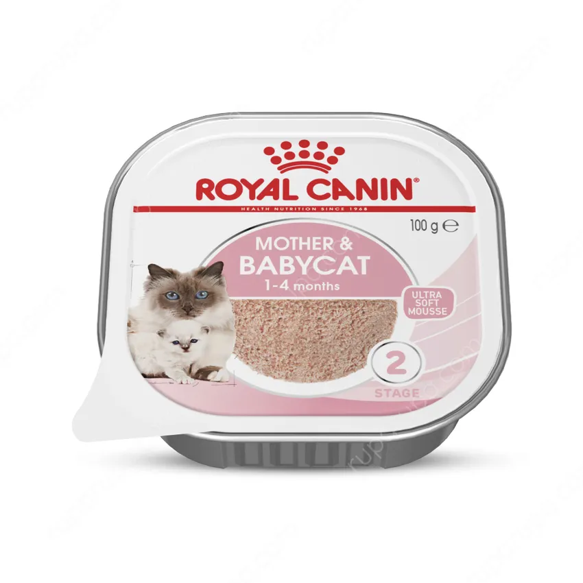 Harga royal canin kucing store