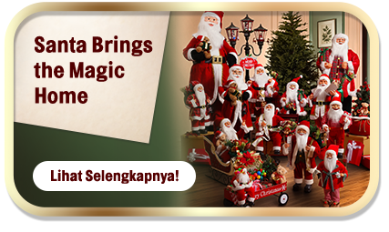 Santa Brings the Magic Home