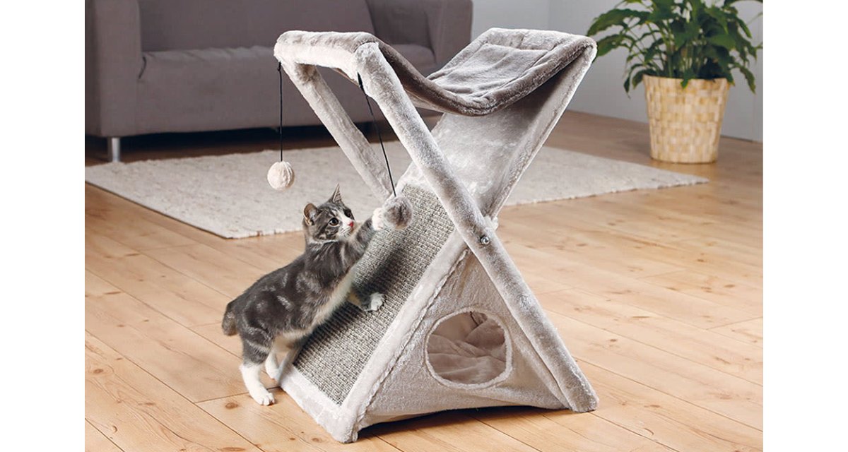 mainan kucing