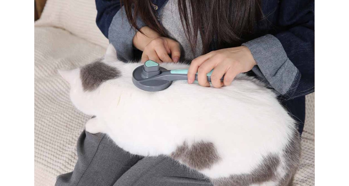 sisir kucing