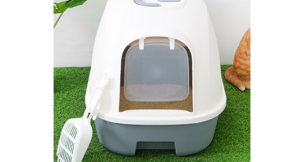 litter box